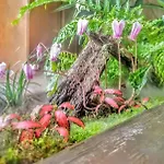 Panoramica - 200mq - - Giardino Privato - 0039-34893-66818