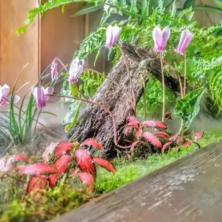 Panoramica - 200mq - - Giardino Privato - 0039-34893-66818